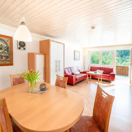Tannenglueck - Mein Schwarzwaldhaeusle Apartman Todtmoos