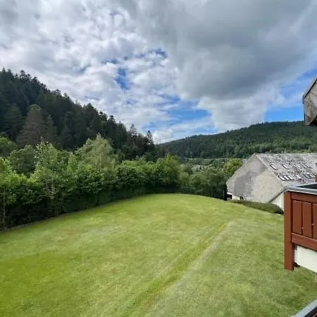 Tannenglueck - Mein Schwarzwaldhaeusle Apartman Todtmoos